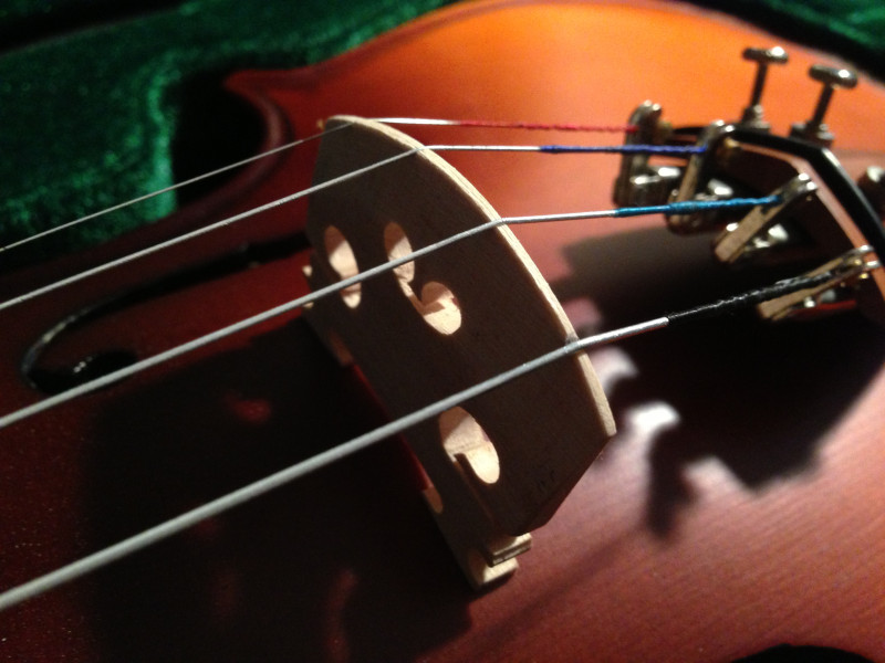 Die Violine und ihr Steg